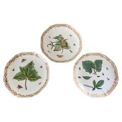 Piatti da parete botanici cinesi con fiori e insetti, set di tre