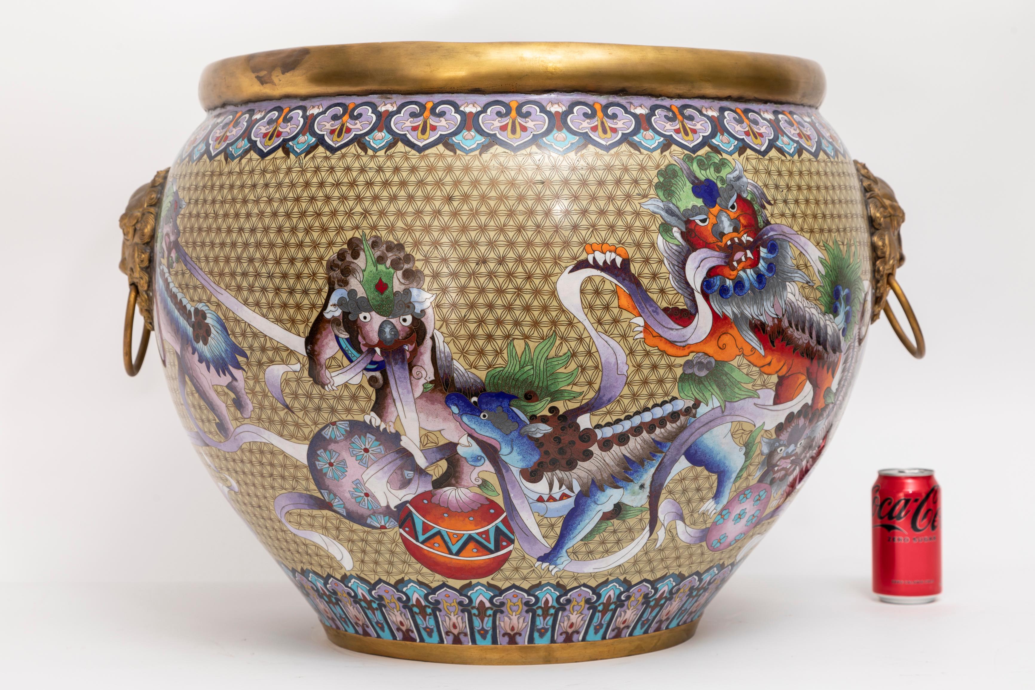 A magnificent large Chinese bronze and cloisonné foo dog jardinière with Lion Mask Handles hails from the Republic period, circa 1950.

Cloisonné enameled with meticulous care, the jardinière showcases playful foo dogs engaging with large, colorful