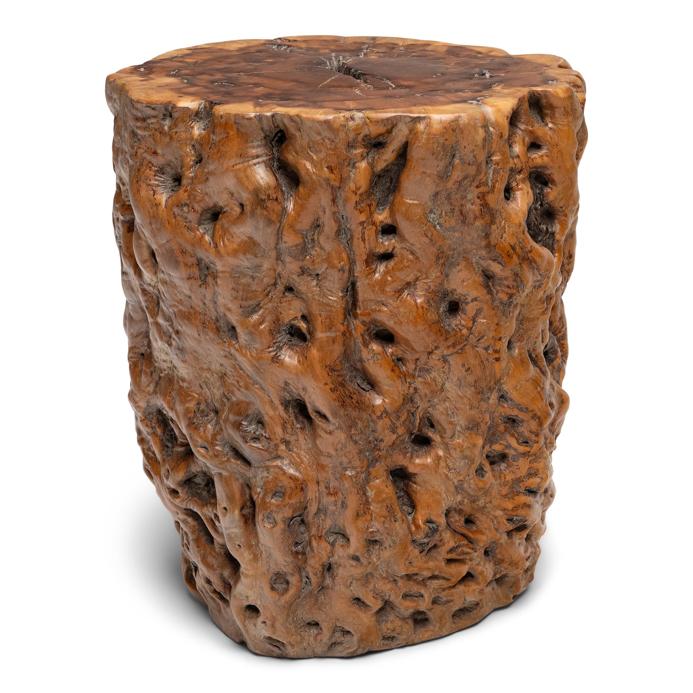 La forme organique de cette table d'appoint en bois de ronce aurait séduit les goûts raffinés des lettrés des dynasties Ming et Qing, qui privilégiaient les formations naturelles aux contours sinueux et à la beauté sauvage et indomptée. La table
