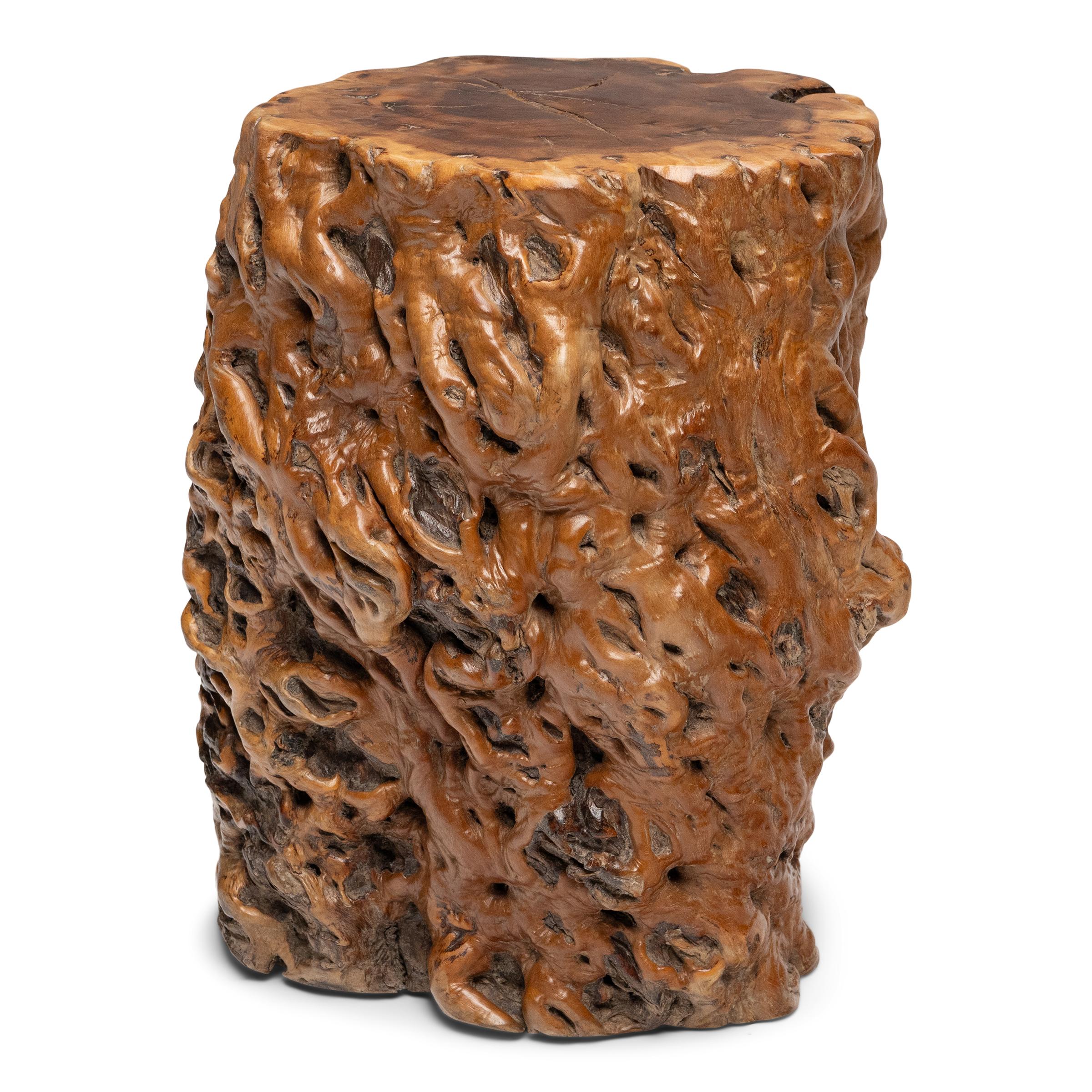 La forme organique de cette table d'appoint en bois de ronce aurait séduit les goûts raffinés des lettrés des dynasties Ming et Qing, qui privilégiaient les formations naturelles aux contours sinueux et à la beauté sauvage et indomptée. La table