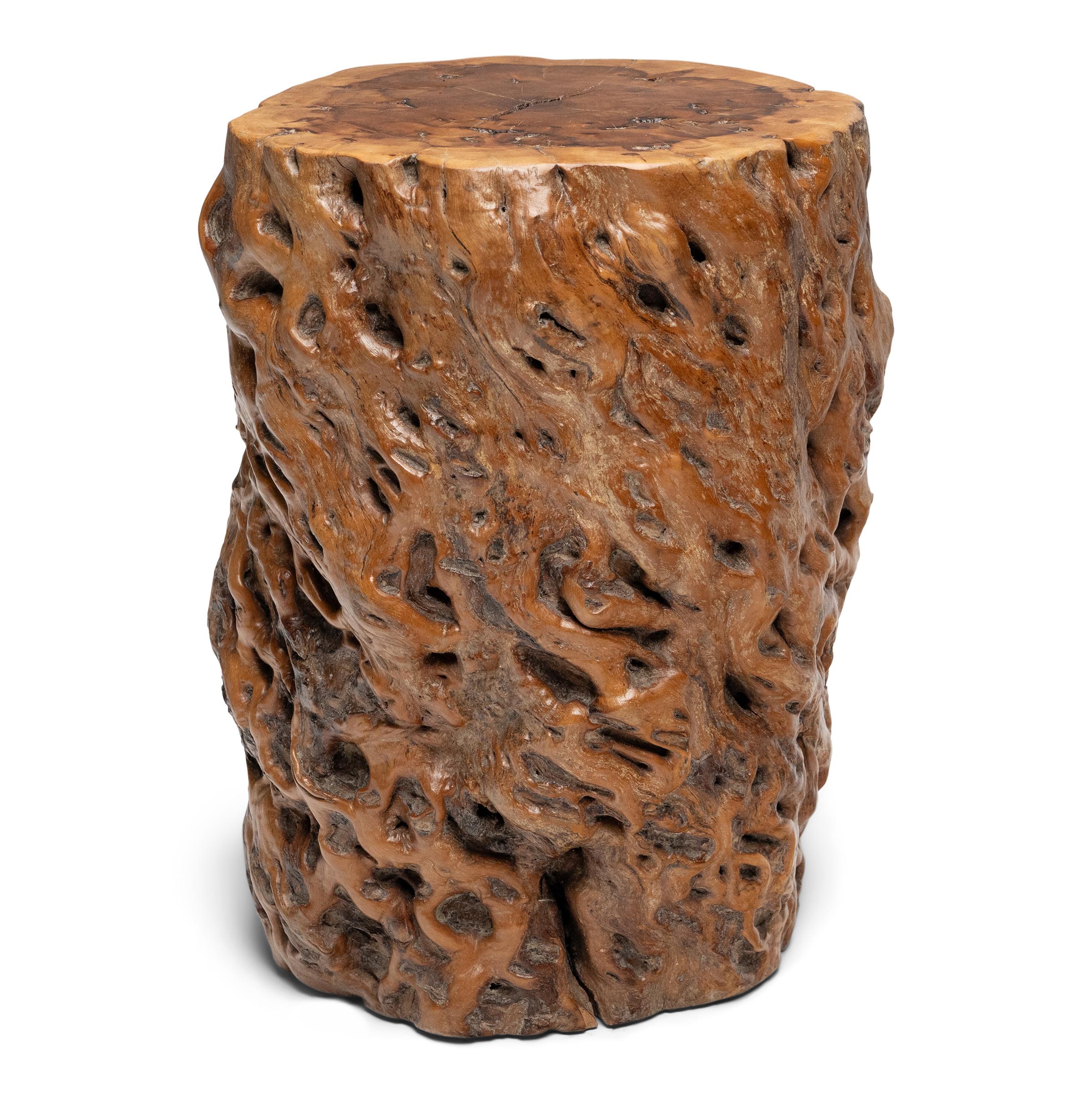 La forme organique de cette table d'appoint en bois de ronce aurait séduit les goûts raffinés des lettrés des dynasties Ming et Qing, qui privilégiaient les formations naturelles aux contours sinueux et à la beauté sauvage et indomptée. La table