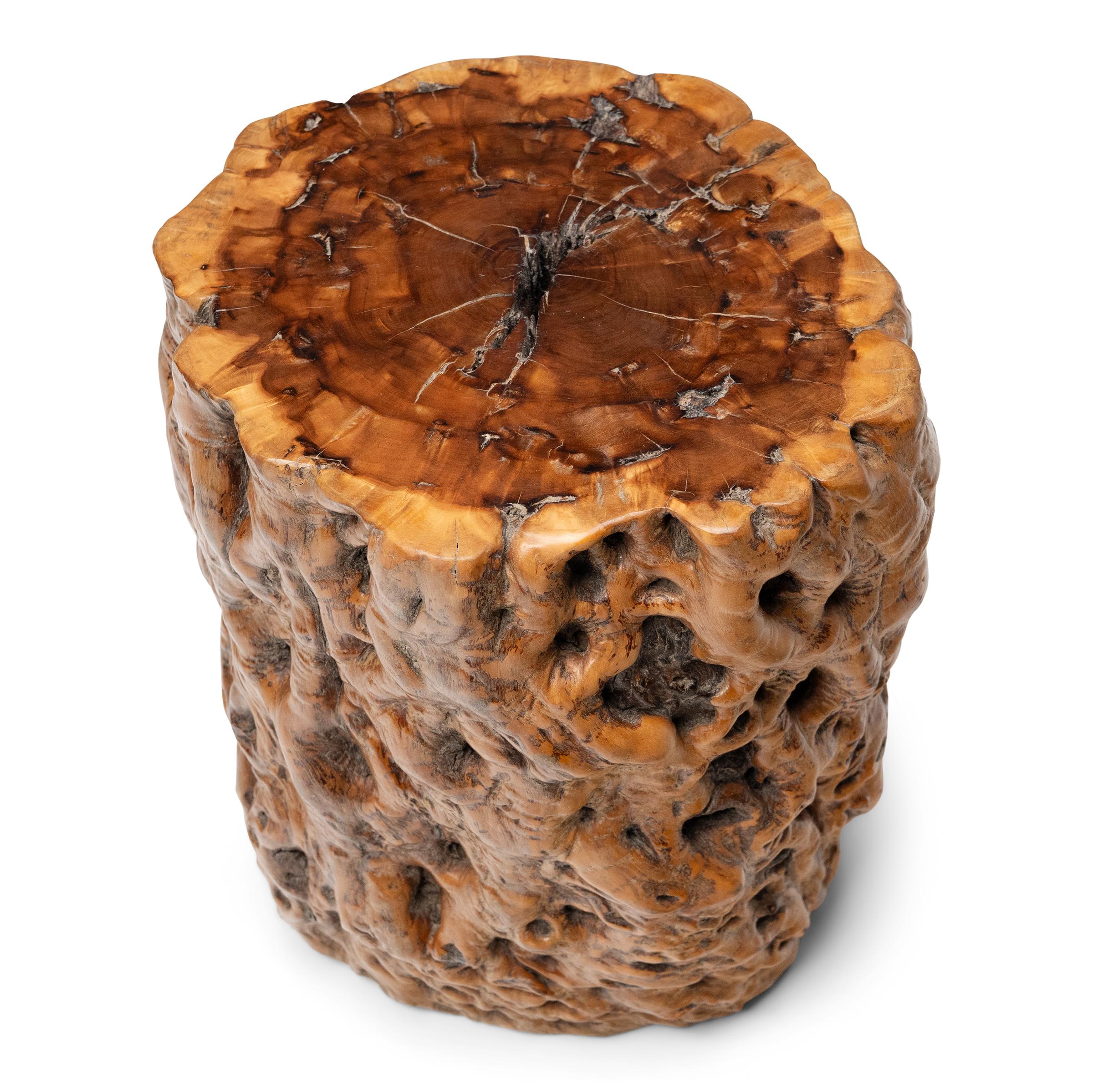 Organique Table d'appoint chinoise en bois de ronce en vente