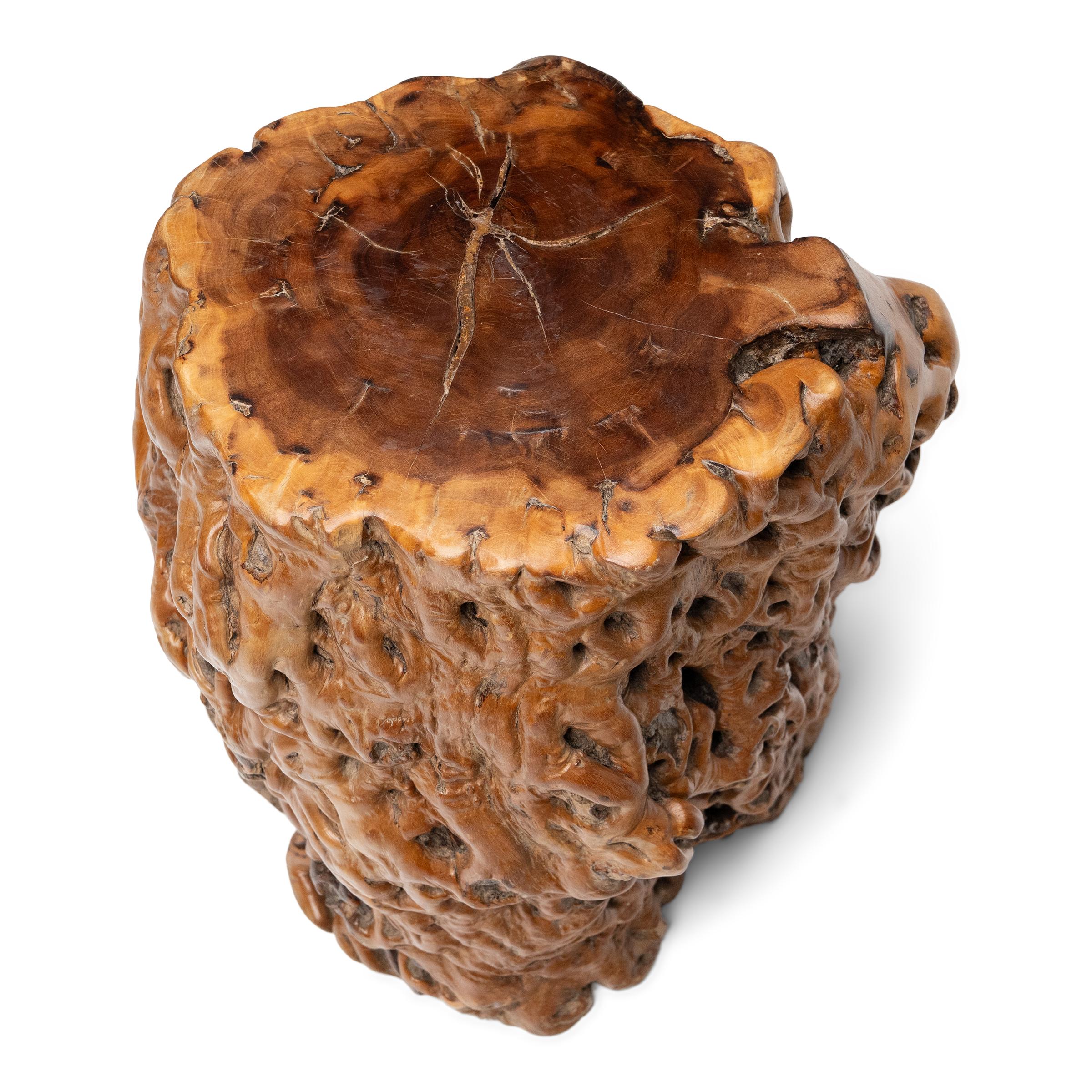 Organique Table d'appoint chinoise en bois de ronce en vente