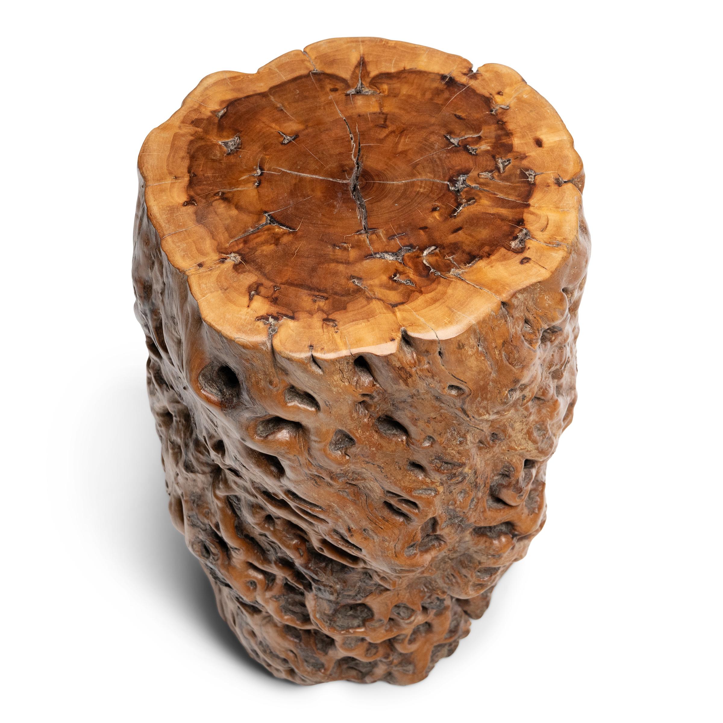 Organique Table d'appoint chinoise en bois de ronce en vente