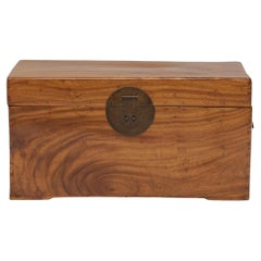Chinese Camphor Book Trunk