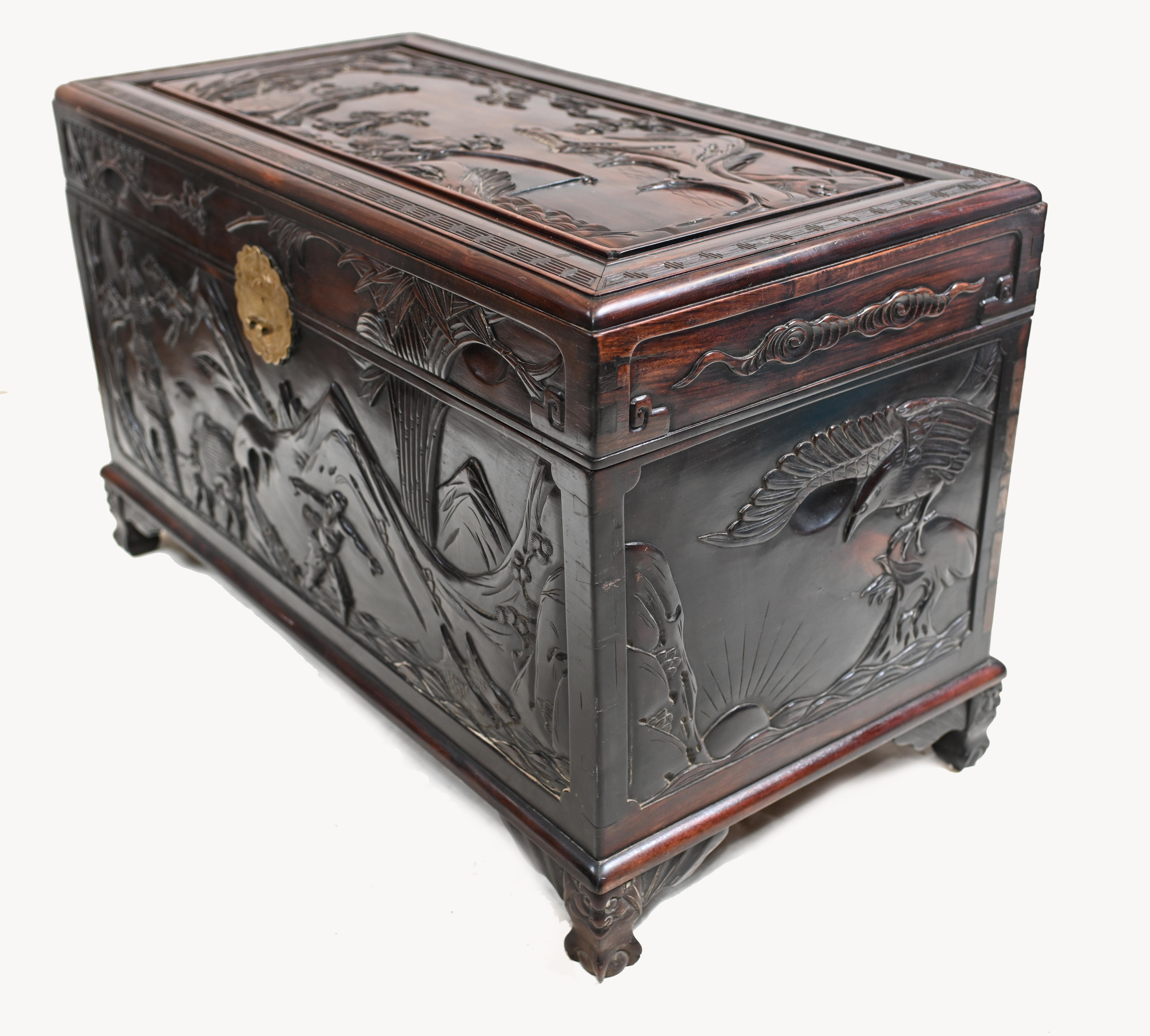 Chinese Camphor Chest Hardwood Carved Luggage Box, 1880 6