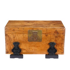 Chinese camphor wood trunk on ebonized hardwood stand, 1820
