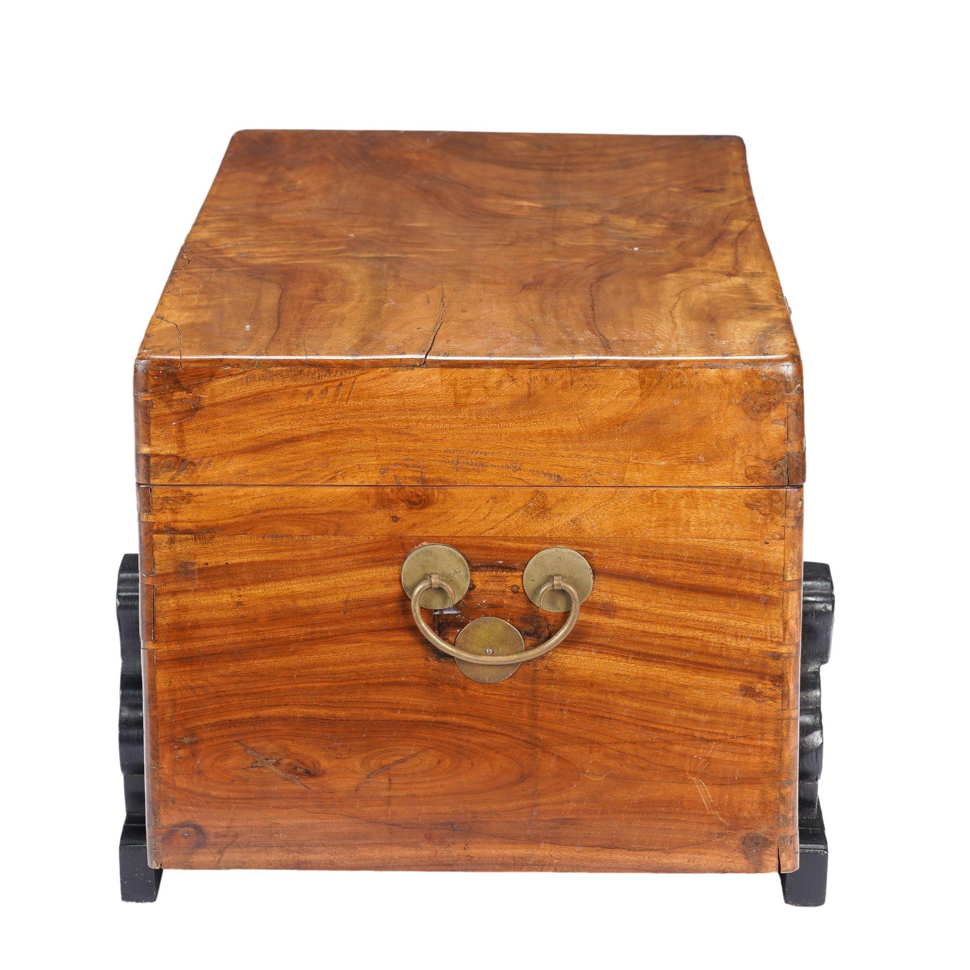 Chinese camphor wood trunk on ebonized hardwood stand, 1820 For Sale 2