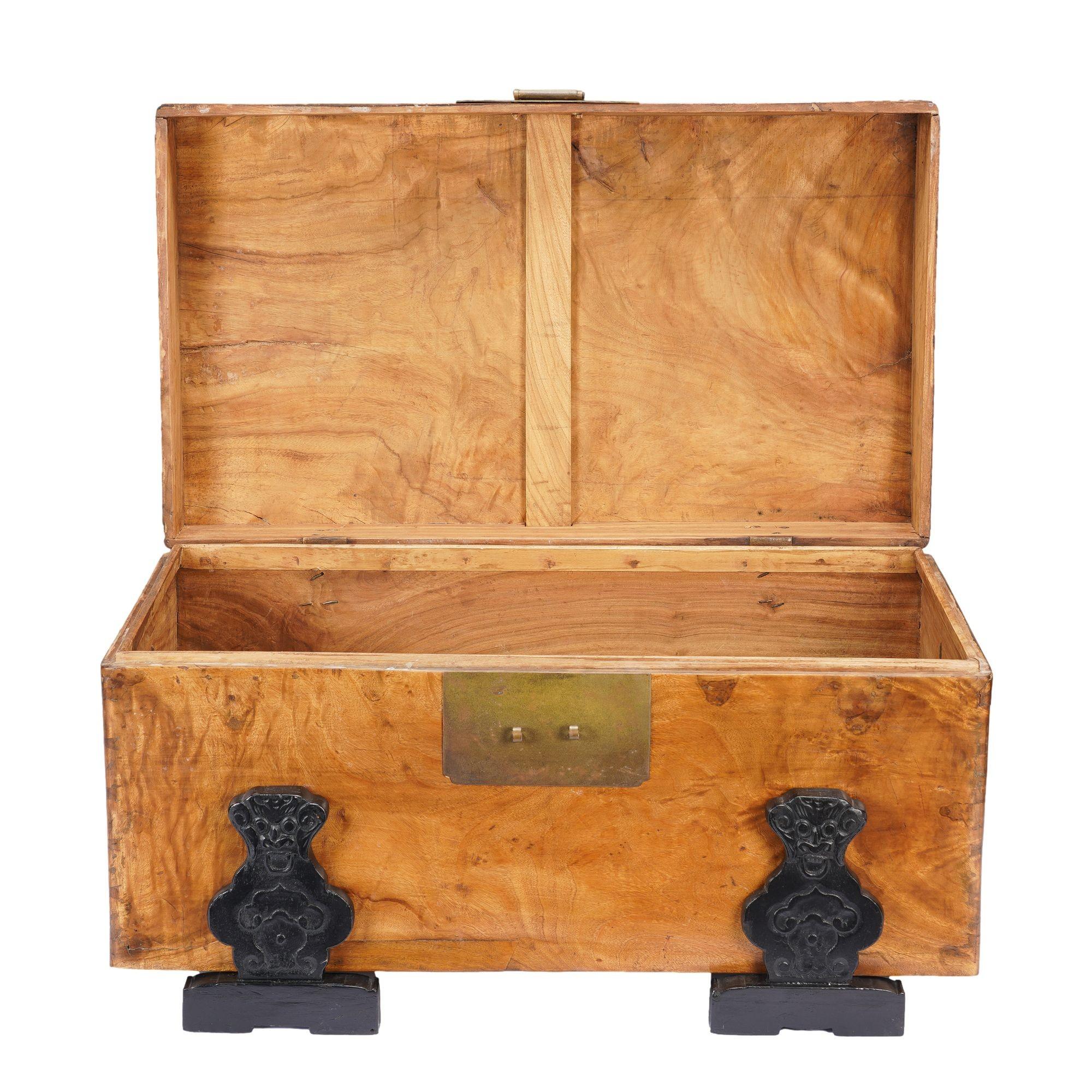 Chinese camphor wood trunk on ebonized hardwood stand, 1820 For Sale 4