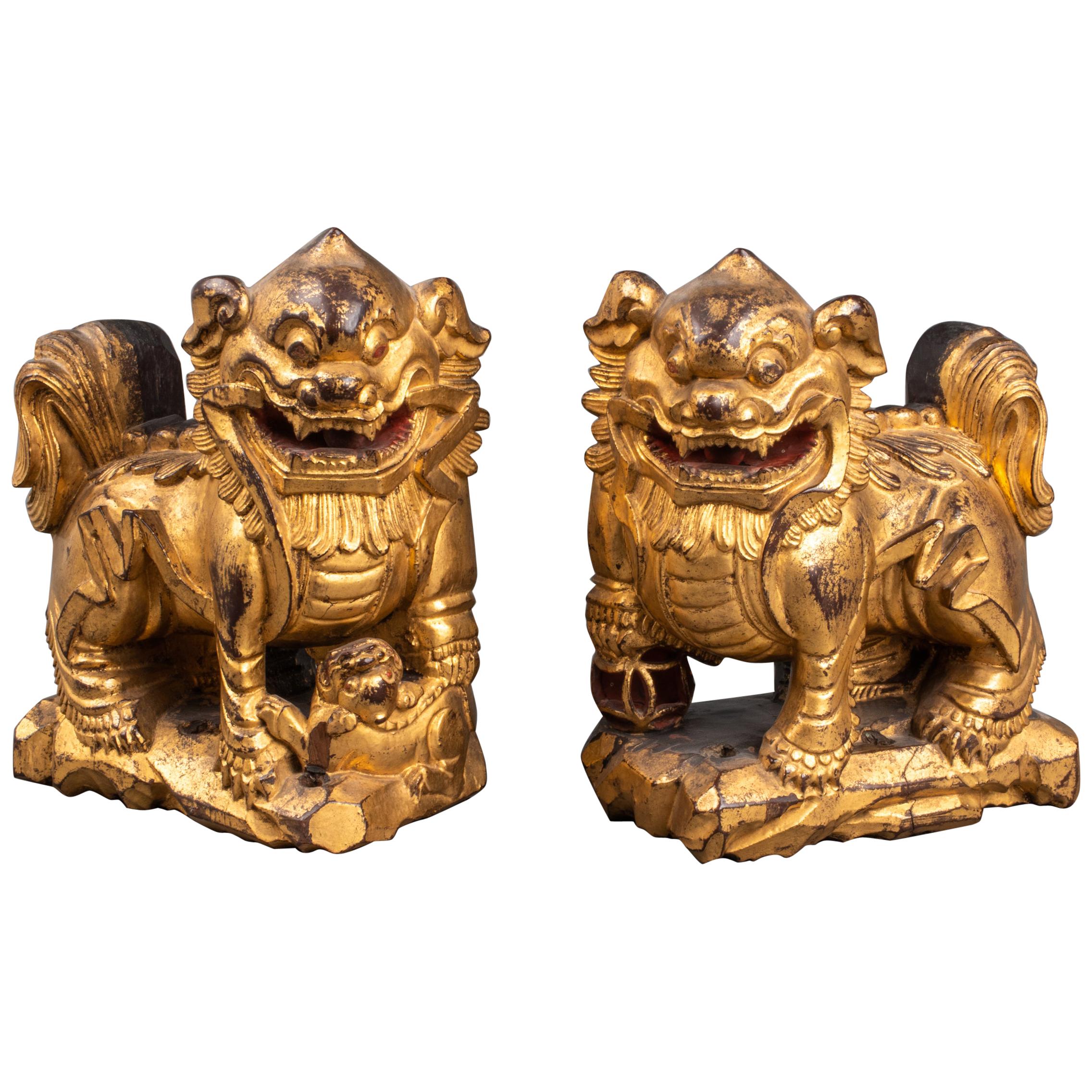 Chinese Carved Giltwood Foo Dogs