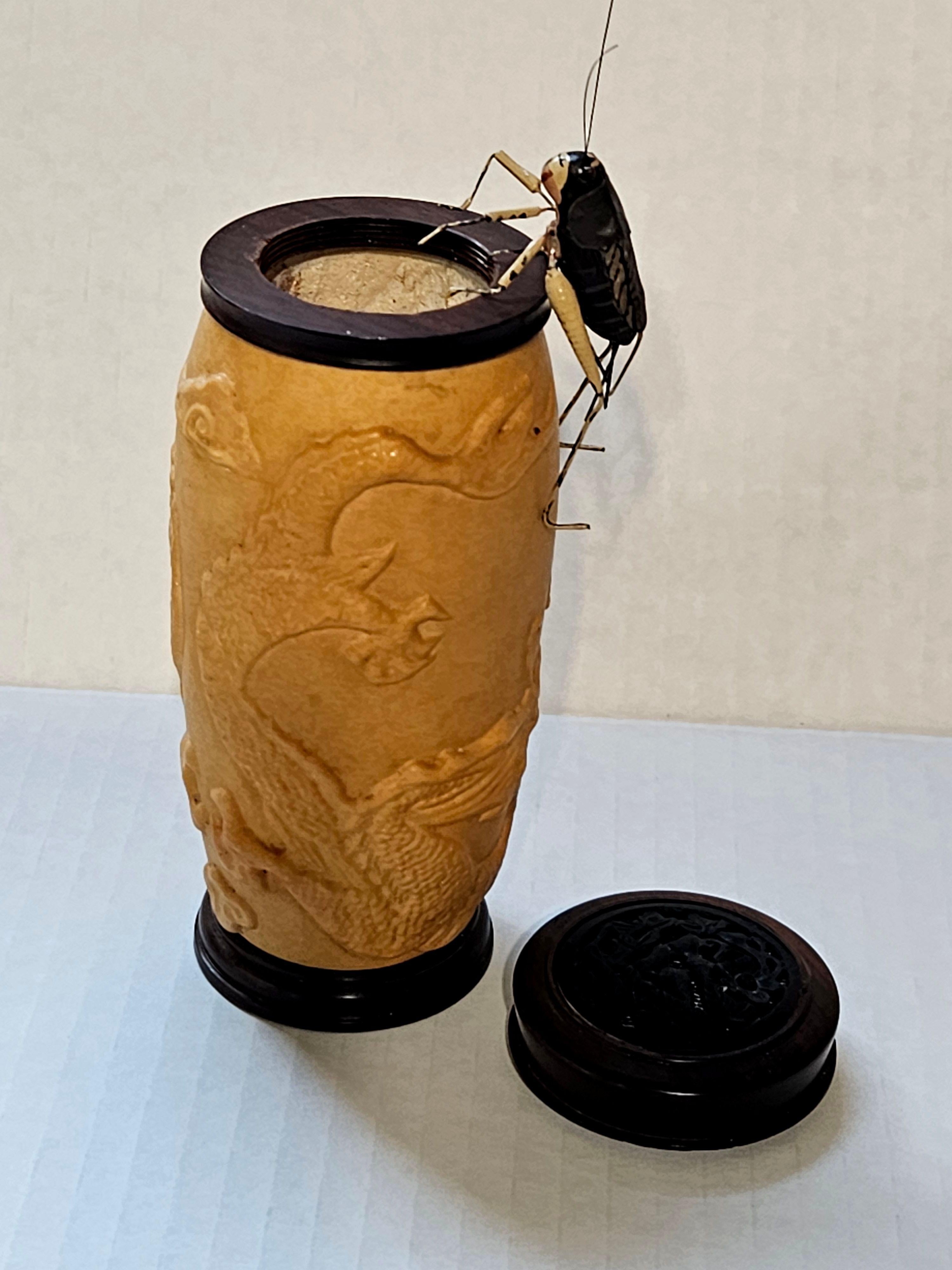 Chinese Carved Gourd Cricket Cage and a Modeled Cricket For Sale 5