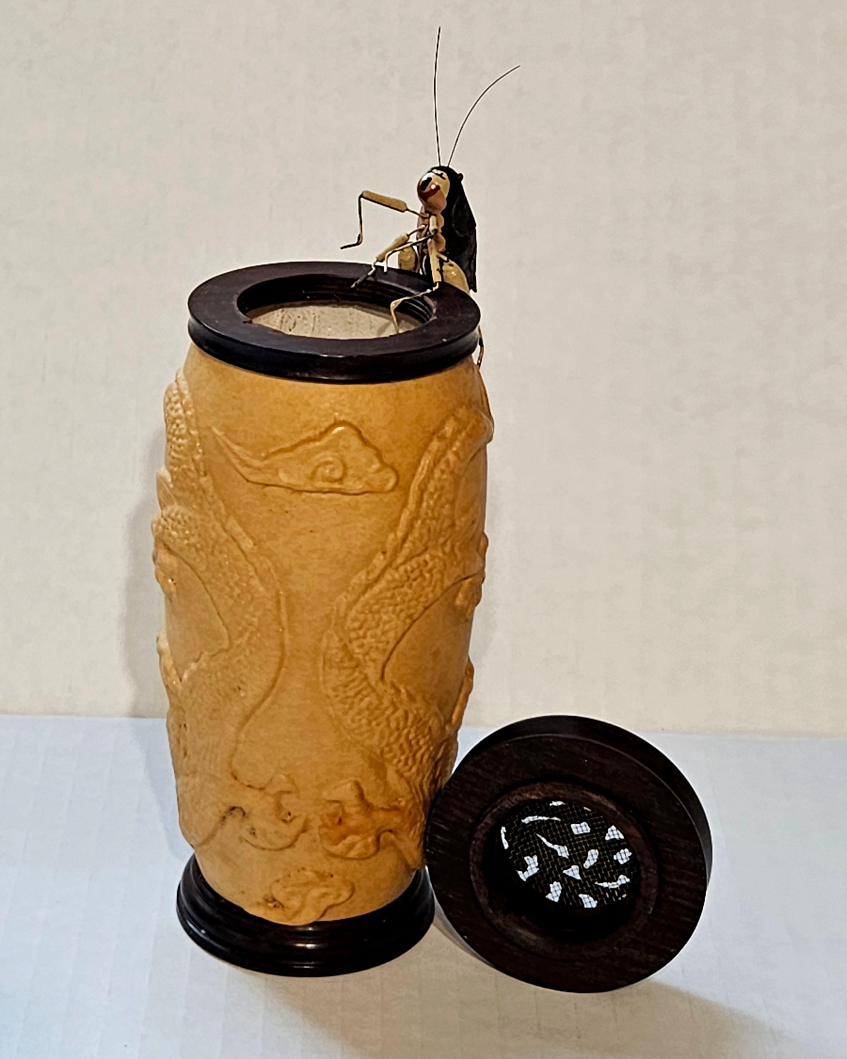 Chinese Carved Gourd Cricket Cage and a Modeled Cricket For Sale 6