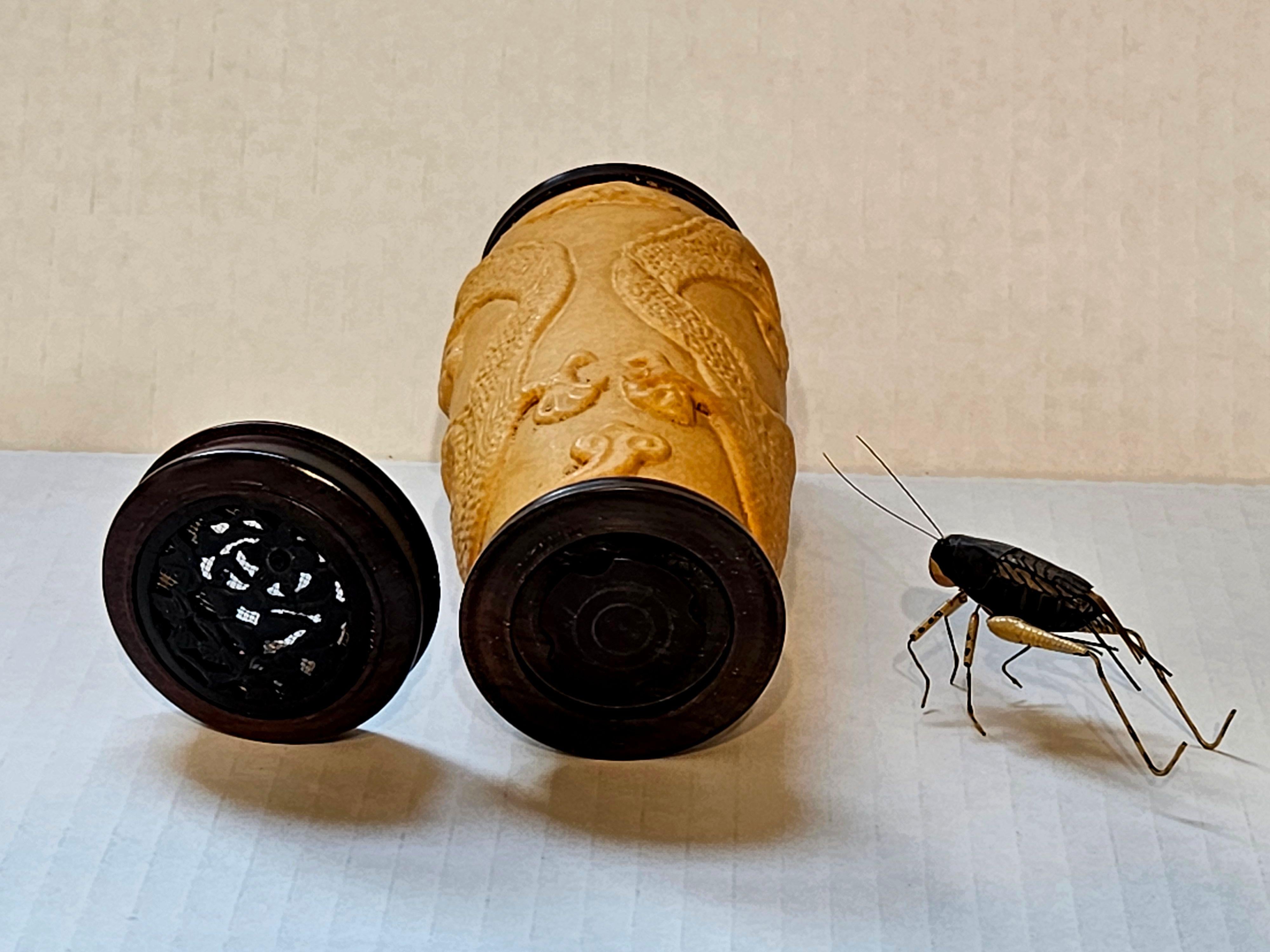Chinese Carved Gourd Cricket Cage and a Modeled Cricket For Sale 8