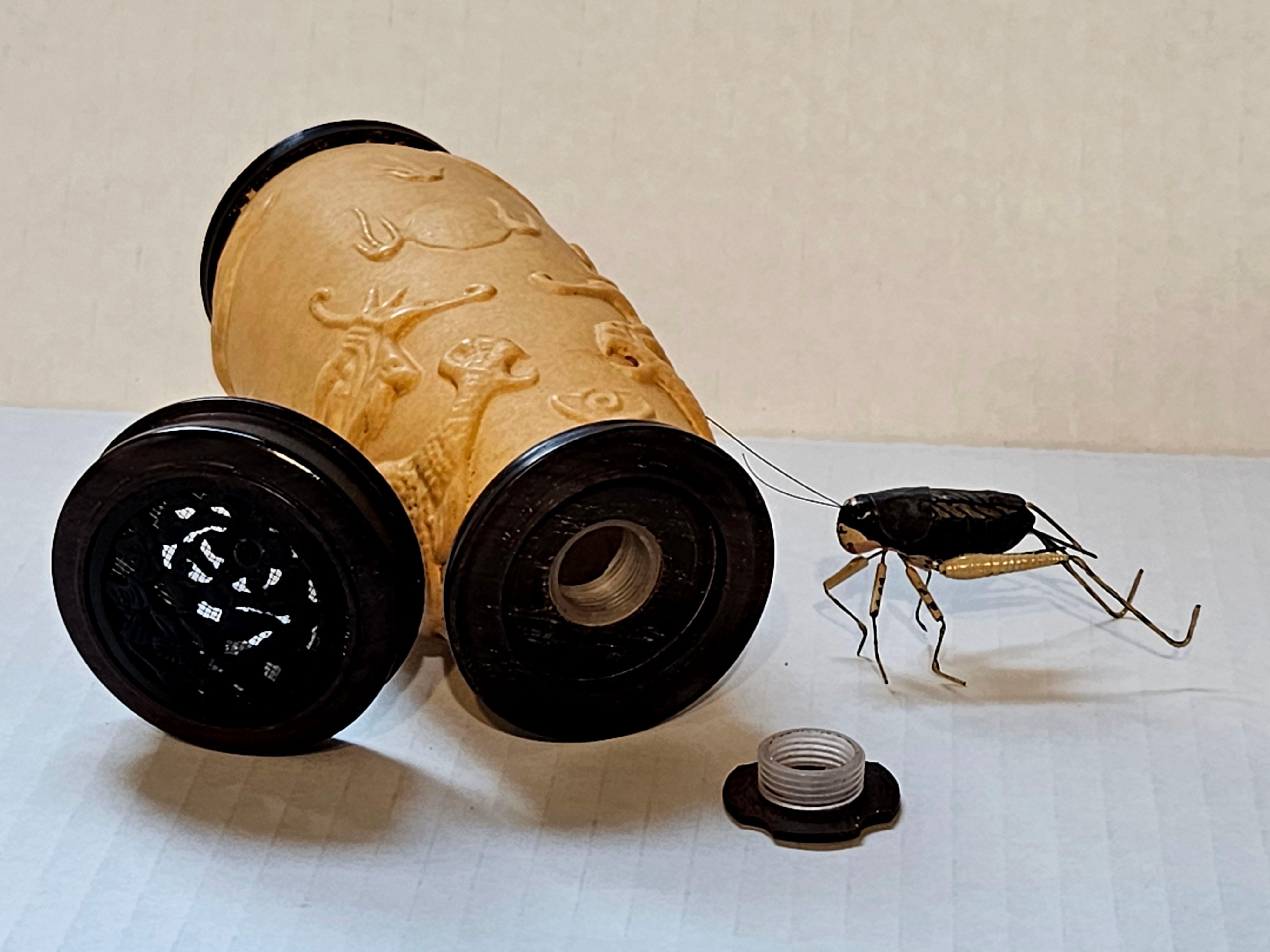 Chinese Carved Gourd Cricket Cage and a Modeled Cricket For Sale 9