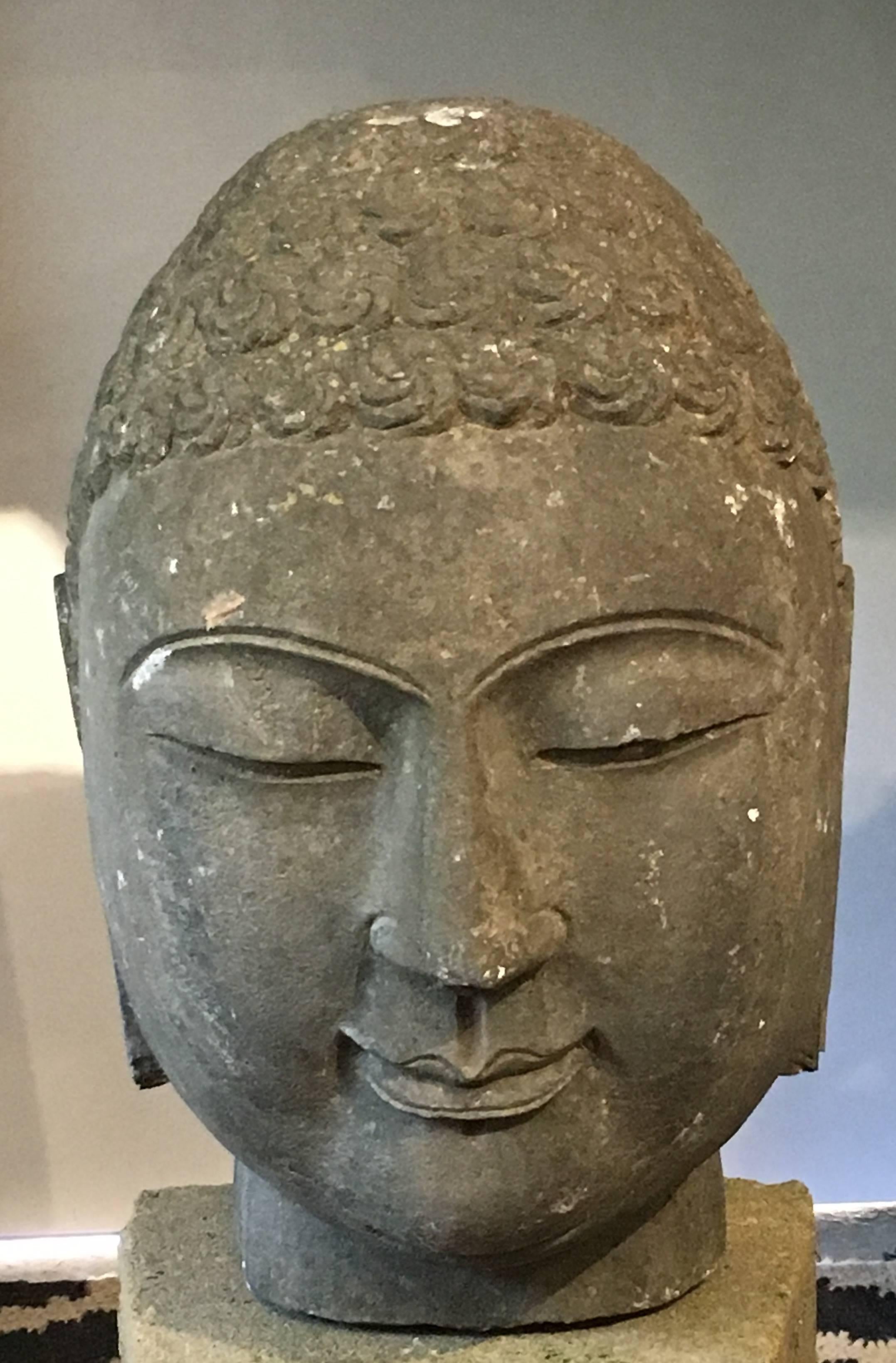 Monumentaler Kopf des Buddha aus Kalkstein, China, Mitte des 20. Jahrhunderts.

Der große geschnitzte Kopf aus Kalkstein zeigt eine ruhige Sinnlichkeit, die typisch für den Stil der Nördlichen Qi ist, und folgt den stilistischen Konventionen der