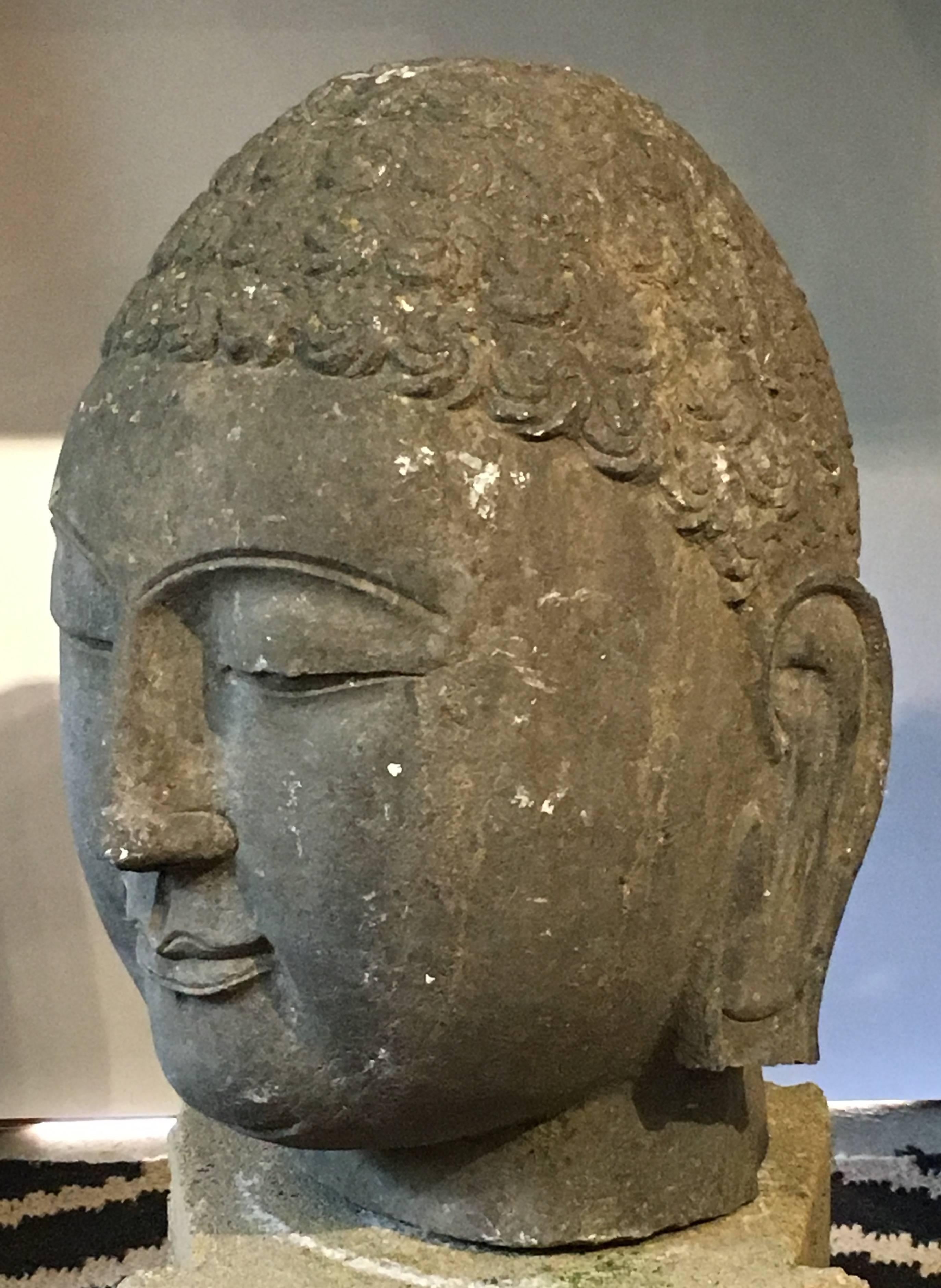 Tête de Bouddha en pierre calcaire sculptée chinoise, milieu du 20e siècle Bon état - En vente à Austin, TX