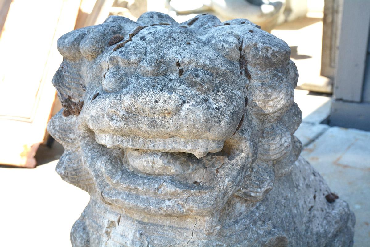 Chinese Carved Stone Garden Guardian Lion In Good Condition For Sale In Sheffield, MA