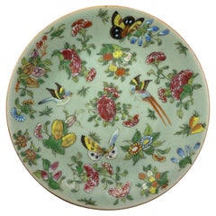 Chinese Celadon Famille Rose Plate, Canton, Qing Dynasty, ca. 1850
