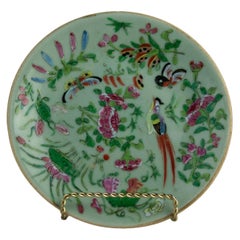 Antique Chinese Celadon Famille Rose Plate, Canton, circa 1820