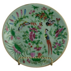 Assiette chinoise céladon famille rose:: Canton:: vers 1820