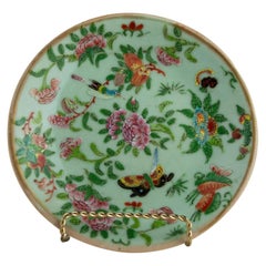 Antique Chinese Celadon Famille Rose Plate, Canton, circa 1820