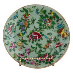 Chinese Celadon Famille Rose Plate, Canton, circa 1820   