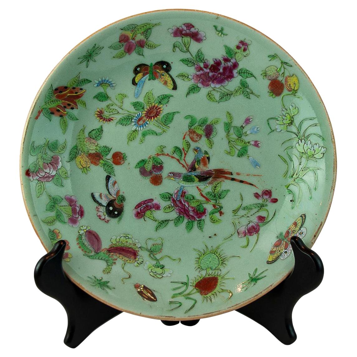 Chinese Celadon Famille Rose 10-inch Plate, Canton, Qing Dynasty, ca. 1850