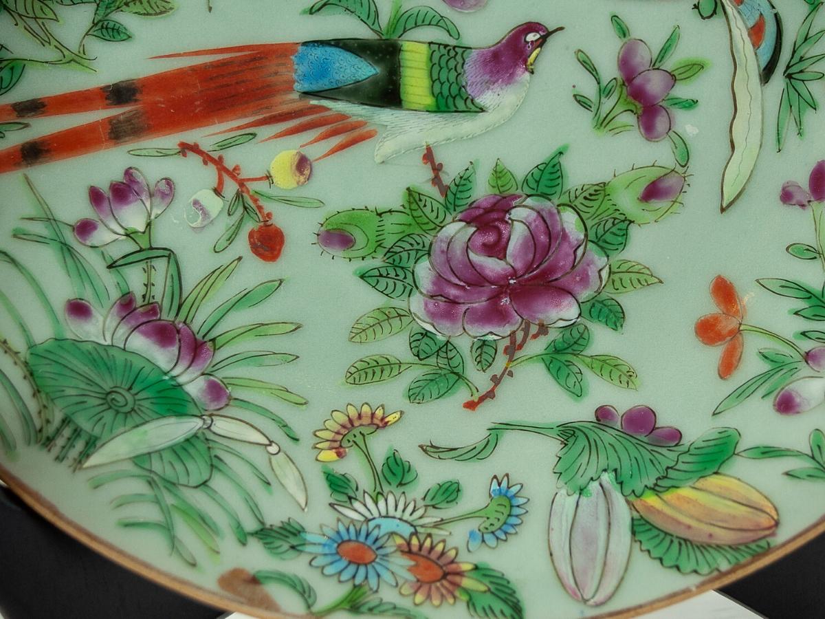 Porcelain Chinese Celadon Famille Rose Plate, Canton, circa 1820