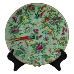 Chinese Celadon Famille Rose Plate, Canton, circa 1820