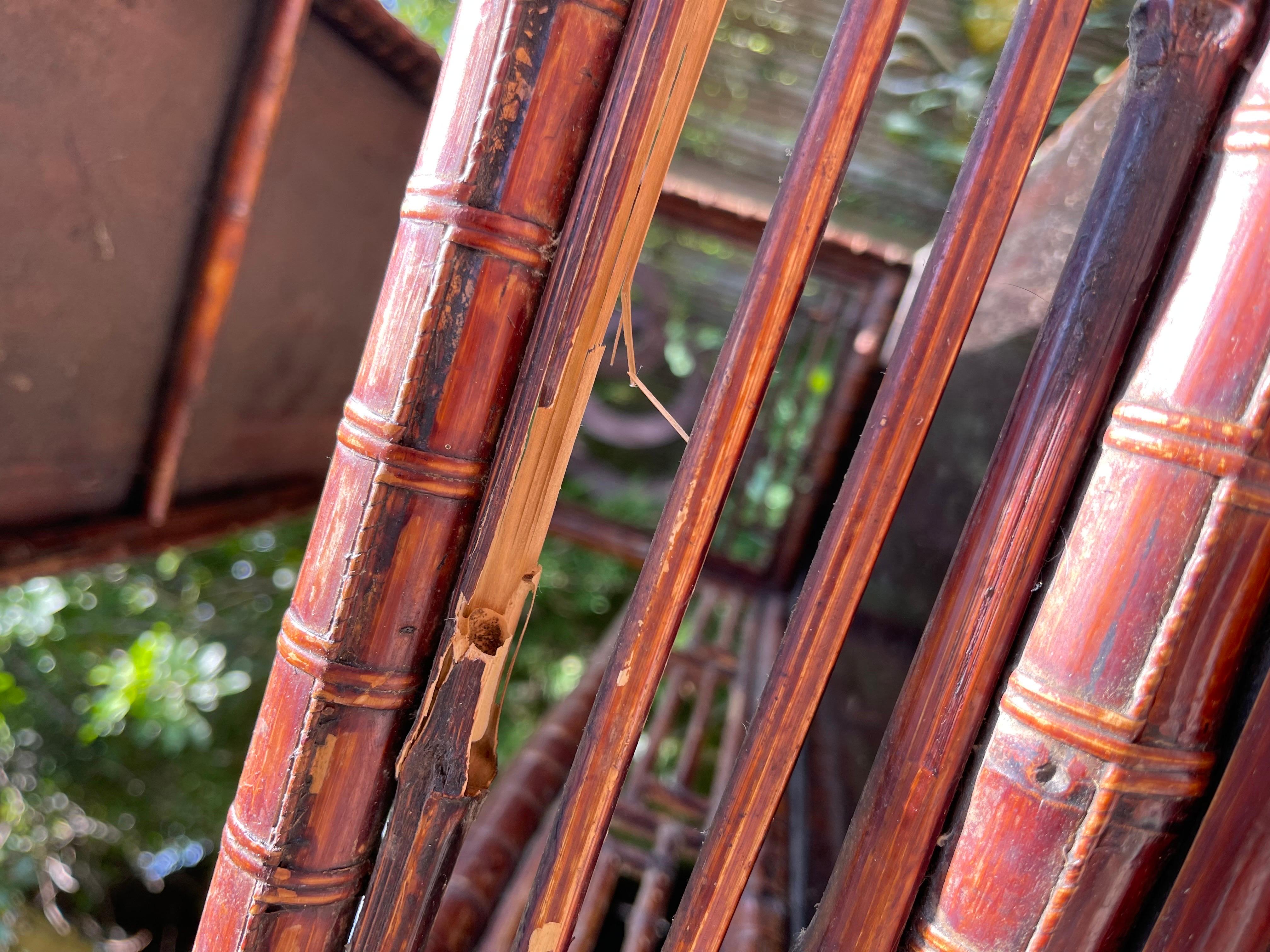 bamboo rack price in nepal