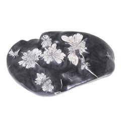 Chinese Chrysanthemum Stone