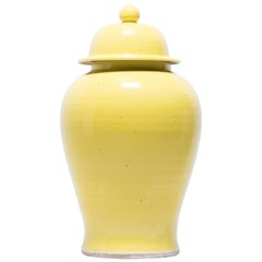 Chinese Citron Yellow Baluster Jar