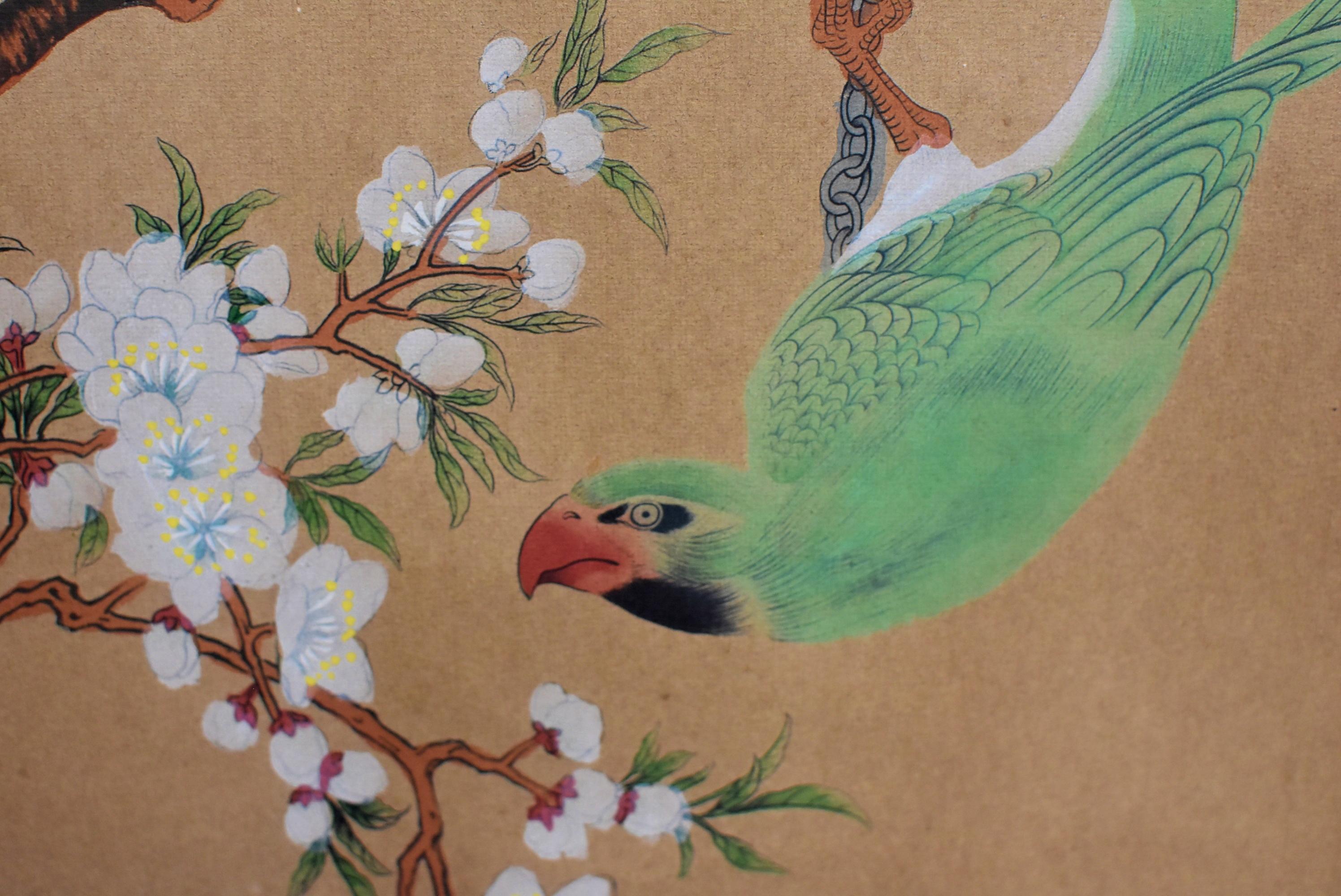 Chinese Classic Painting Green Parrot Amid Pear Blossoms 7