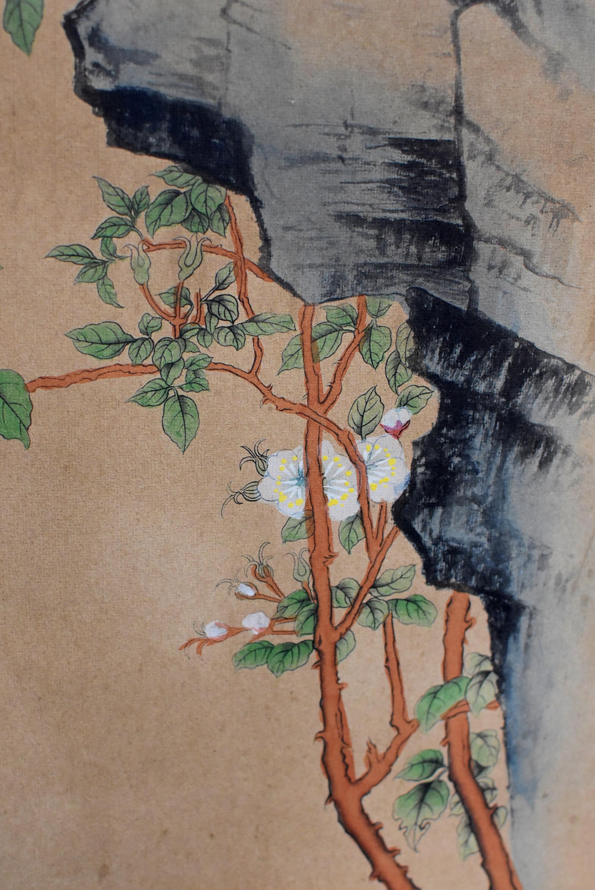 Chinese Classic Painting Green Parrot Amid Pear Blossoms 12