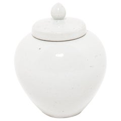 Chinese Cloud White Onion Jar
