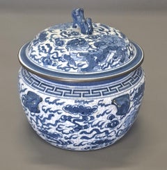 Chinese Cracked Porcelain Ginger Pot