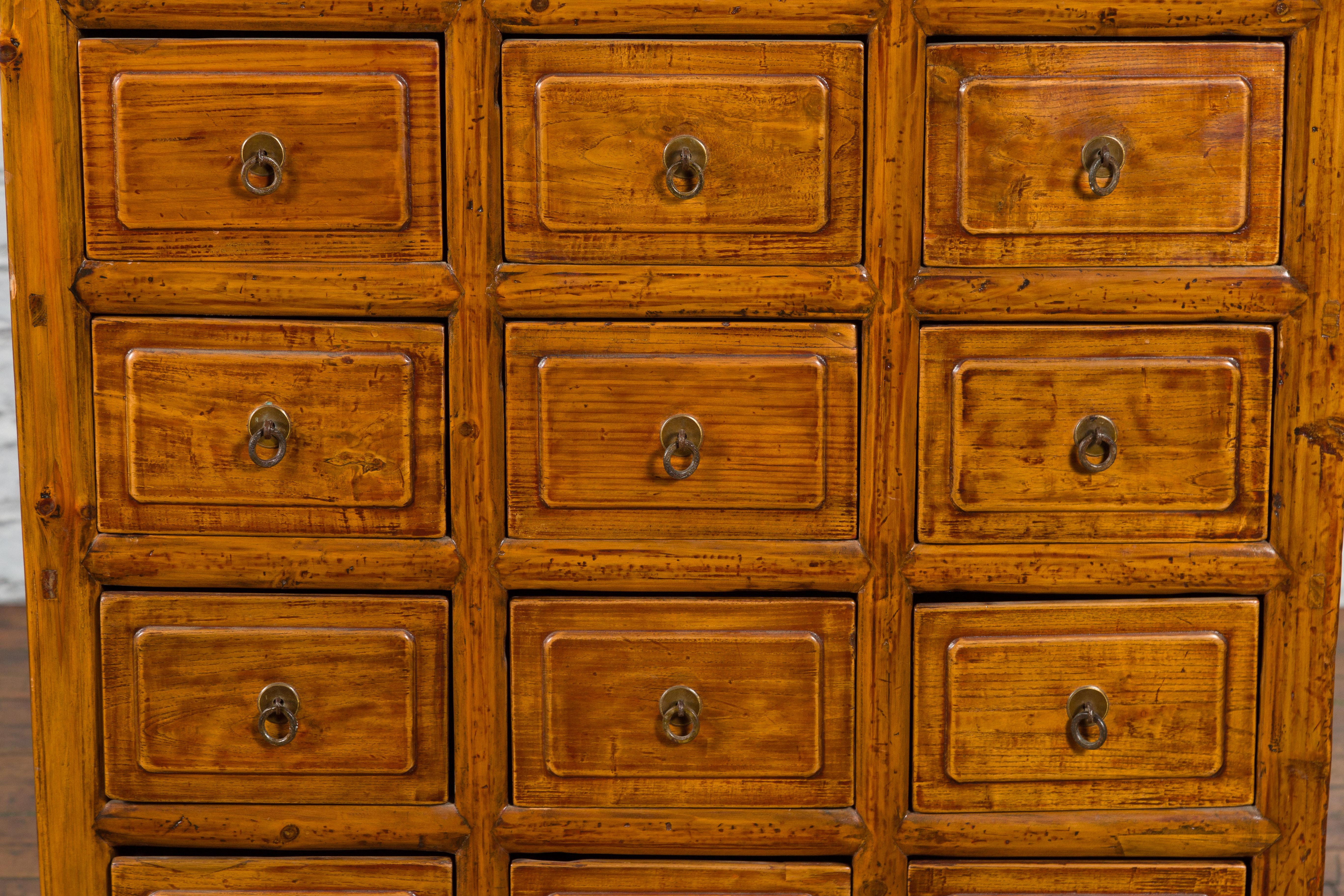 Chinese Early 20th Century Apothecary Cabinet with 15 Drawers and Brown Patina 2