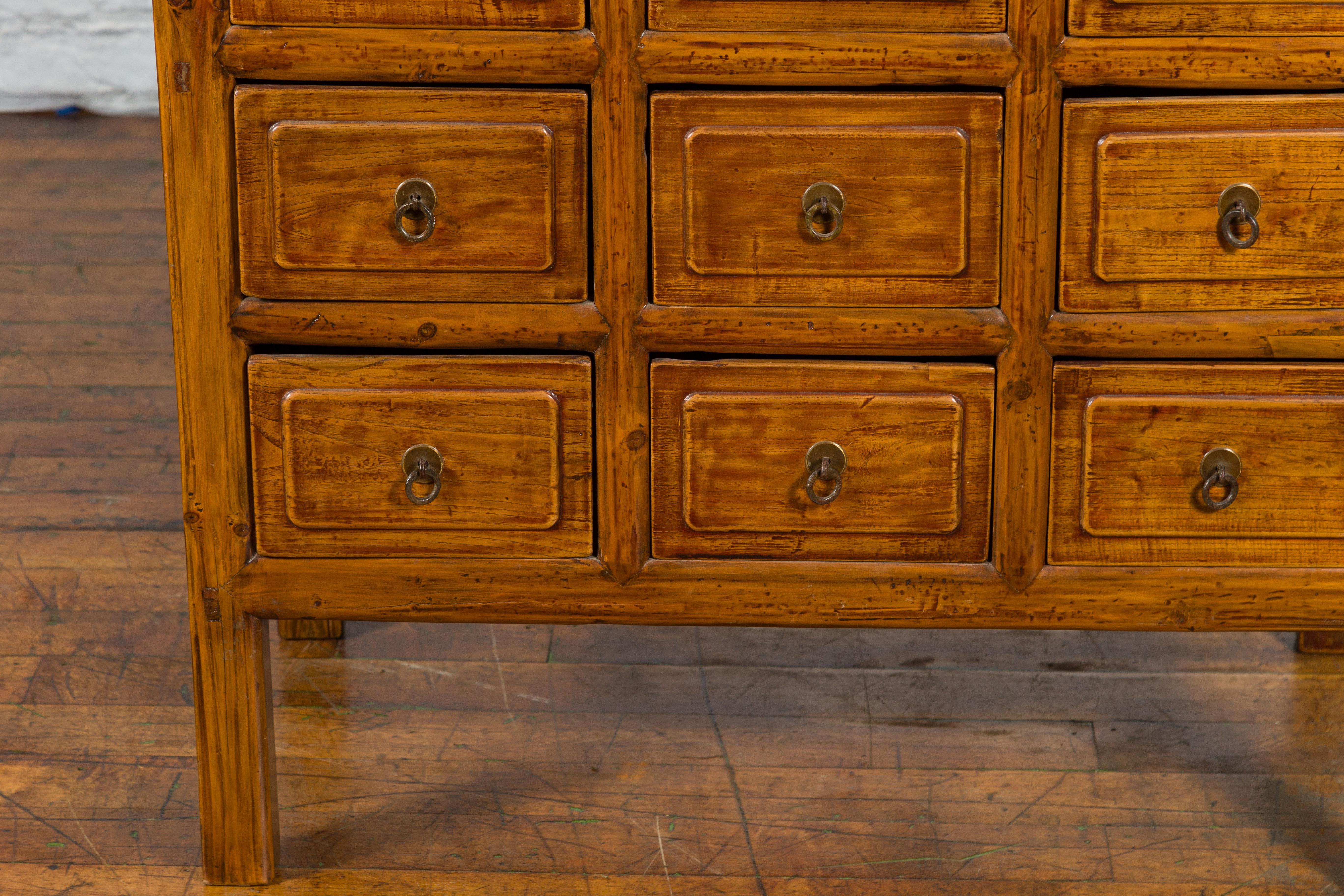Chinese Early 20th Century Apothecary Cabinet with 15 Drawers and Brown Patina 3