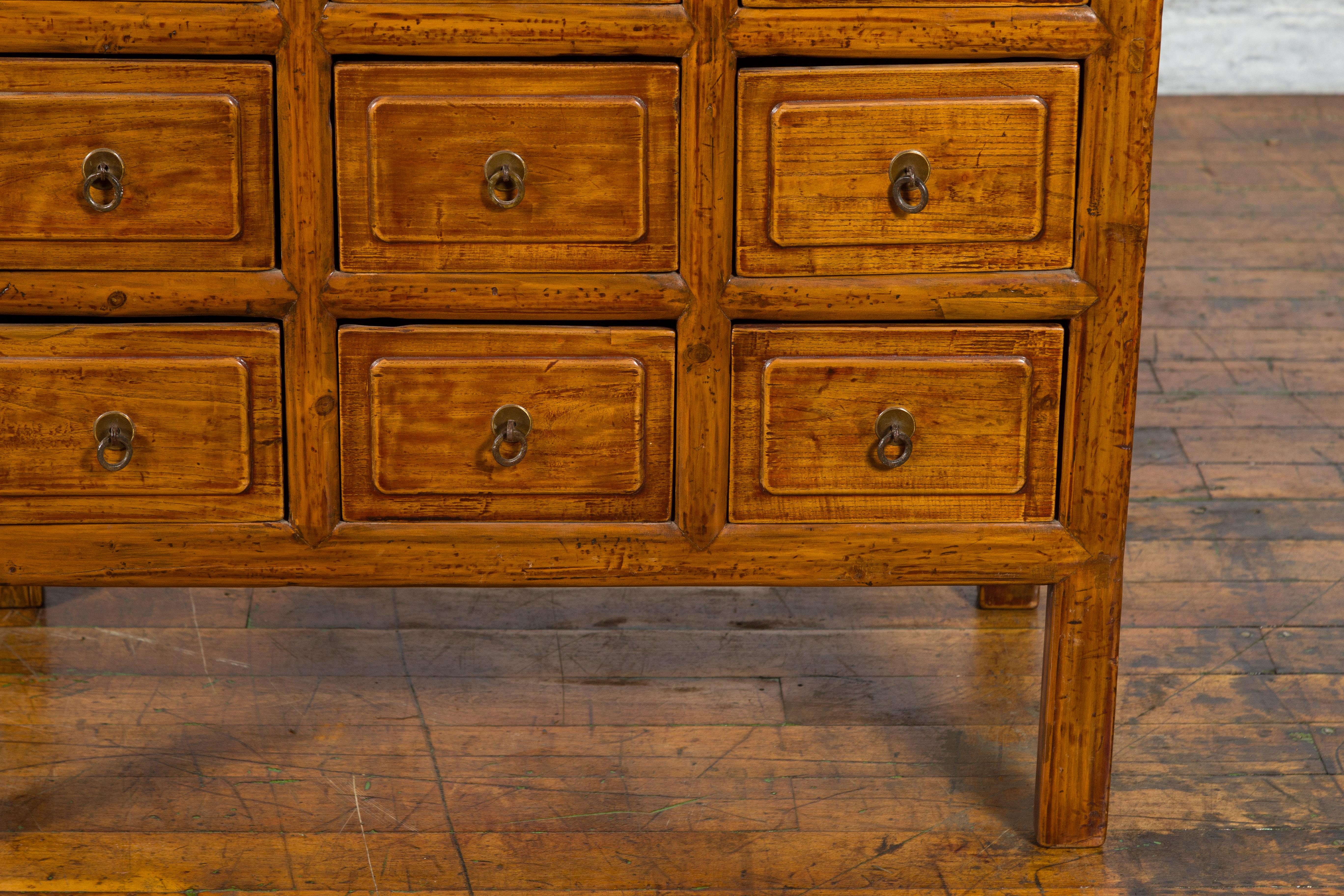 Chinese Early 20th Century Apothecary Cabinet with 15 Drawers and Brown Patina 4