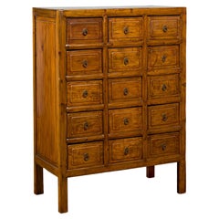 Chinese Early 20th Century Apothecary Cabinet with 15 Drawers and Brown Patina