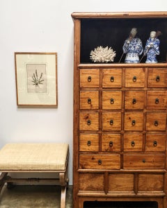 Chinese Elm Apothecary Display Cabinet