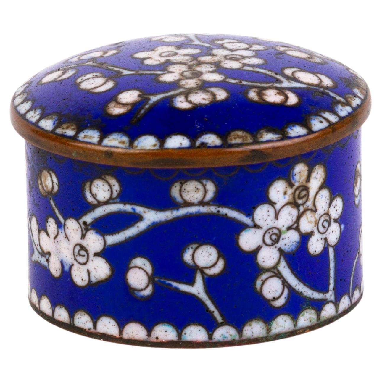 Chinese Enamel Cloisonne Blossoms Snuff Trinket Box 19th Century
