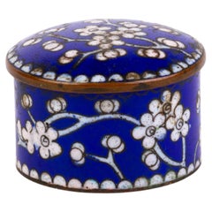 Antique Chinese Enamel Cloisonne Blossoms Snuff Trinket Box 19th Century