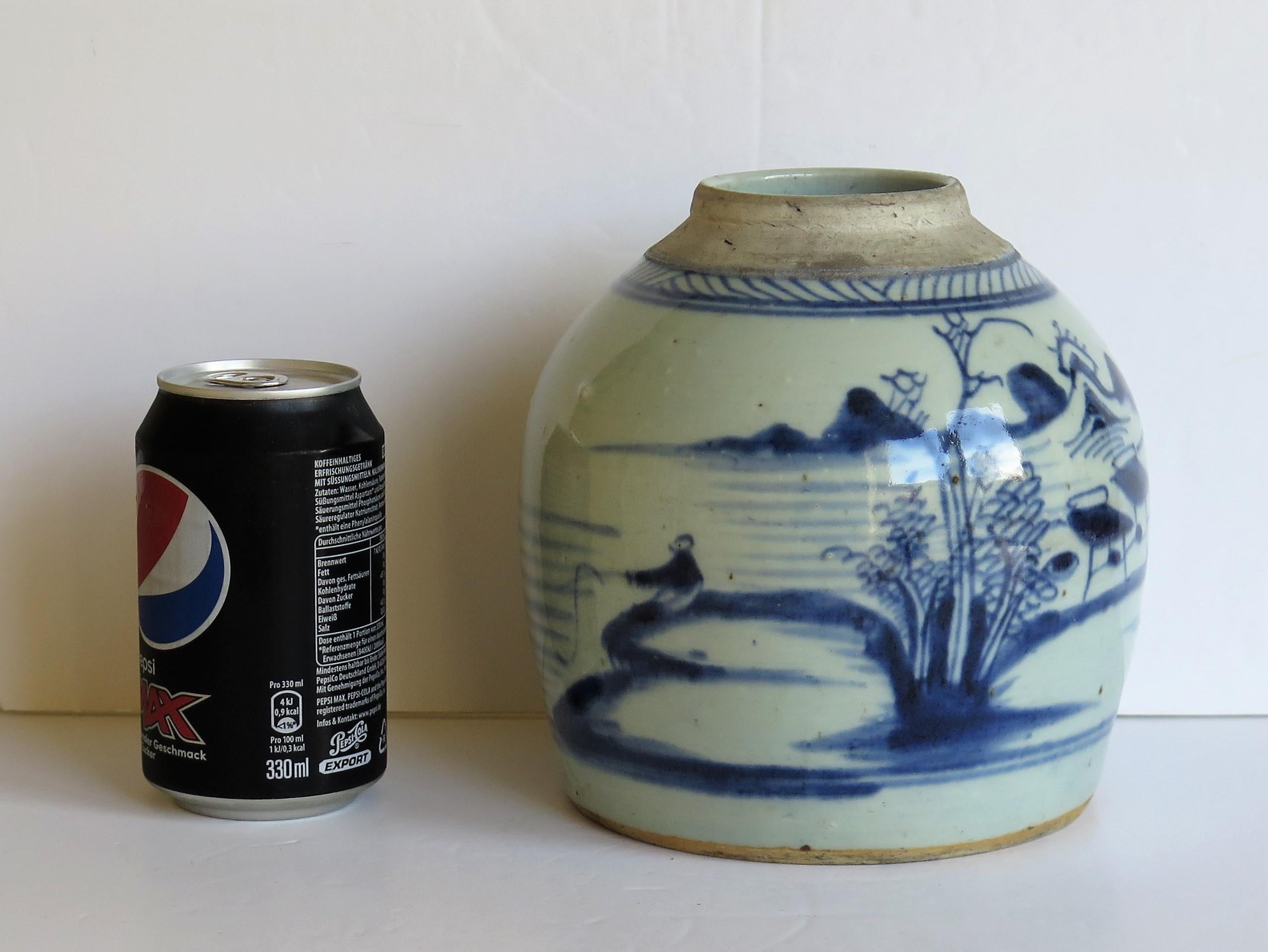 Chinese Export Blue and White Jar Porcelain Hand Painted, Qing 18th Century 11