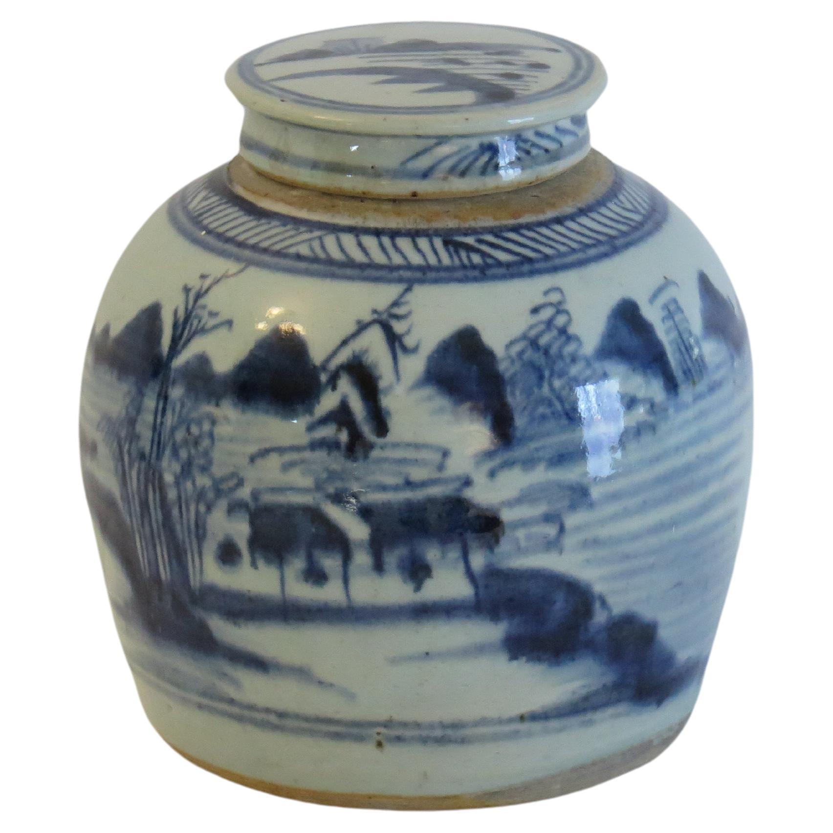 Chinese Export Blue and White Lidded Jar  Porcelain Hand Painted, Qing 18th C For Sale
