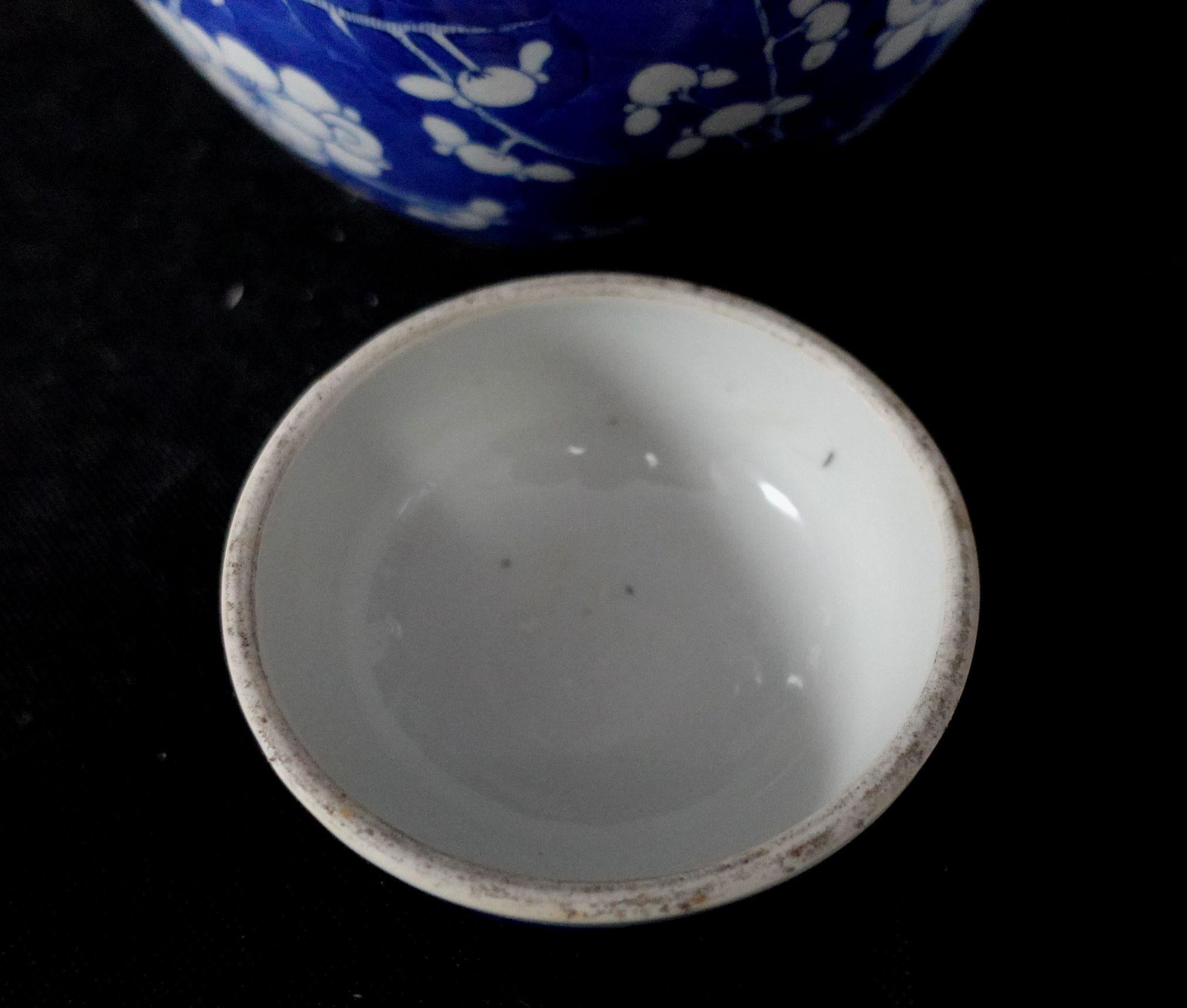 Chinesisches Export-Porzellan, blau-weiß, Weißdornrose, JAR mit Deckel, 19. 4