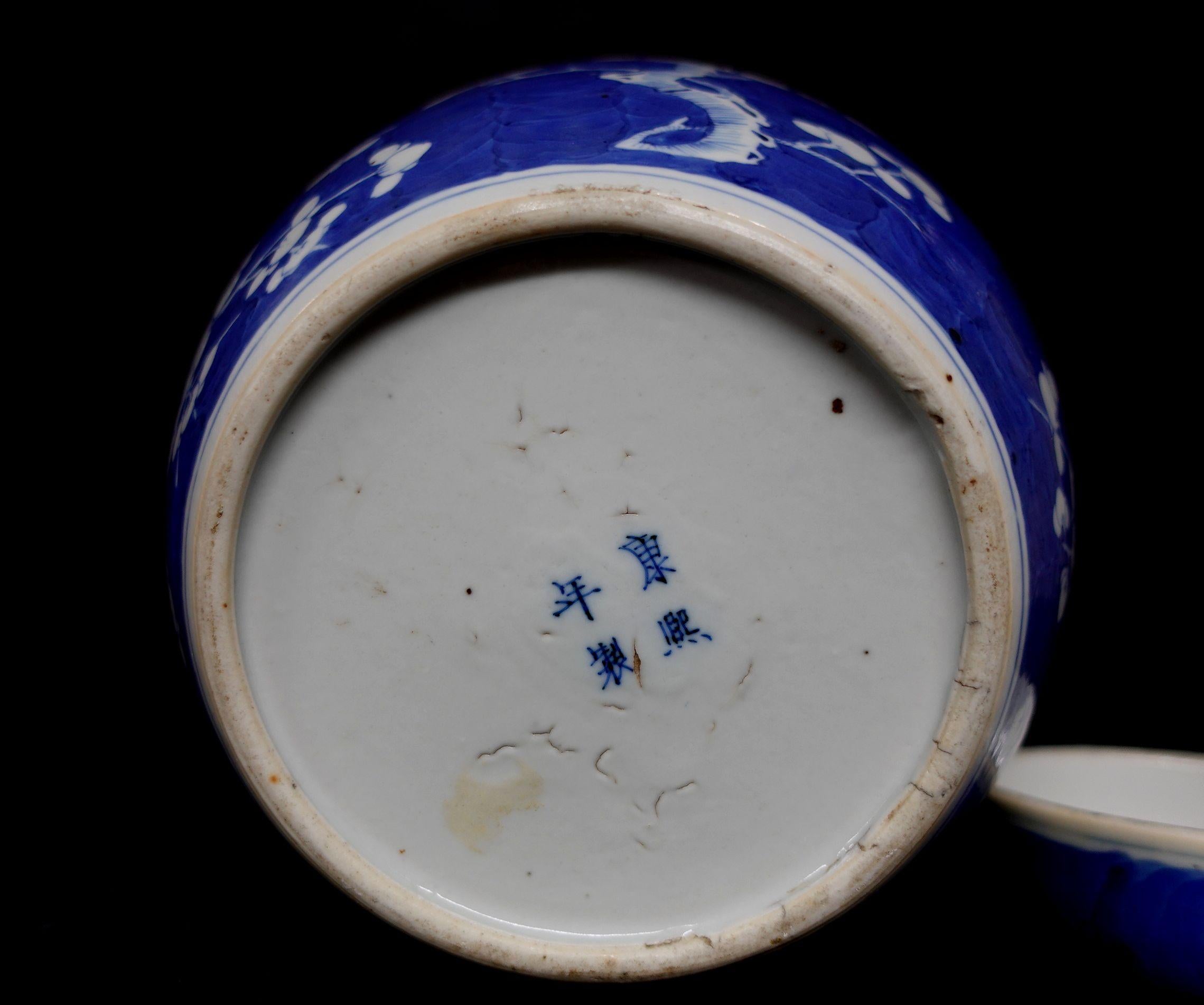 Chinesisches Export-Porzellan, blau-weiß, Weißdornrose, JAR mit Deckel, 19. 5