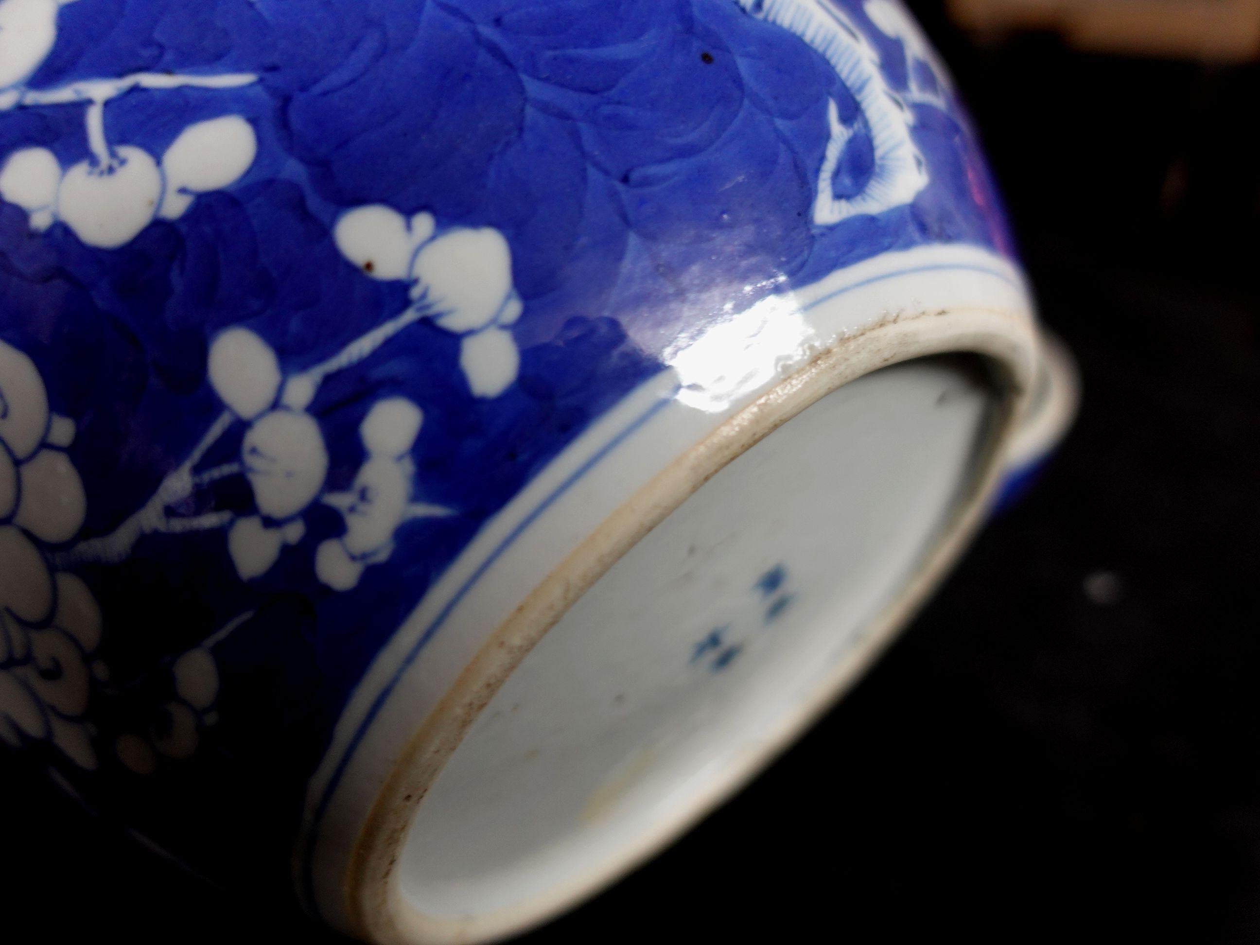 Chinese Export Blue and White Porcelain Hawthorn Rose Jar with Lid, 19th Century 7