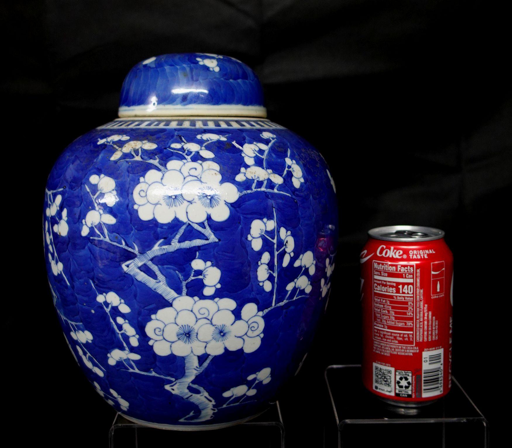Chinesisches Export-Porzellan, blau-weiß, Weißdornrose, JAR mit Deckel, 19. 7