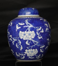 Chinese Export Blue and White Porcelain Hawthorn Rose Jar with Lid, 19th Century